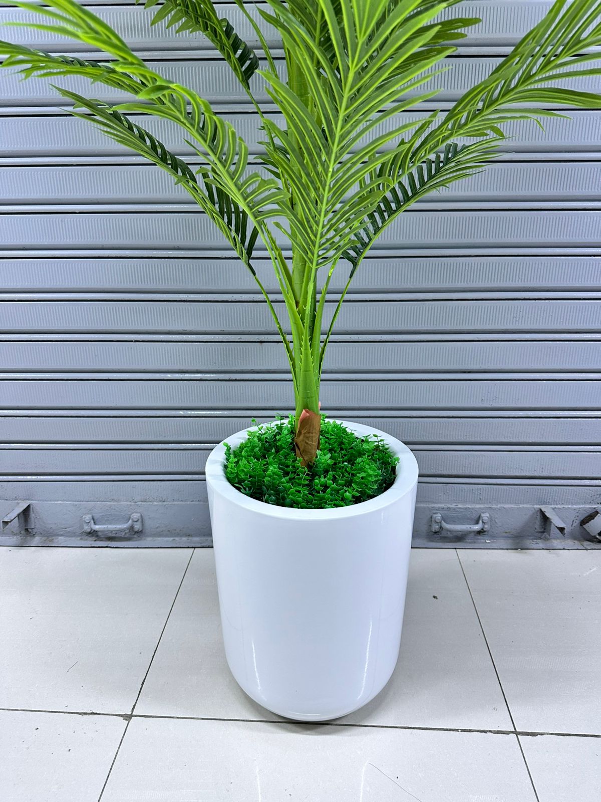 Planta Palmera + Maceta fibra de vidrio | 200cm